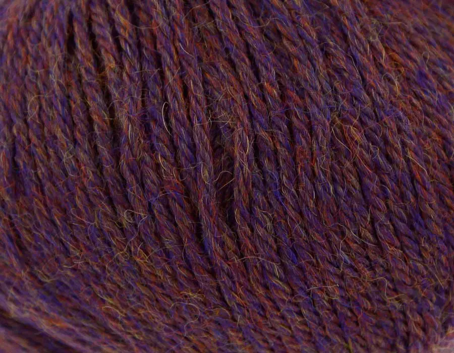 664-Damson1